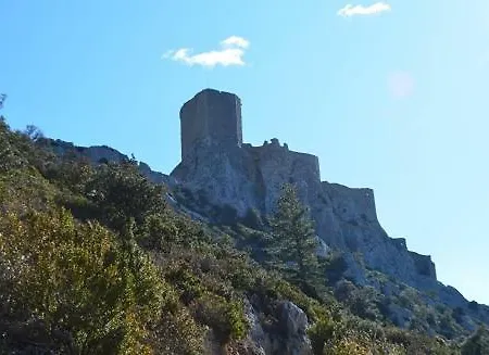 L'amandier Konukevi Maury